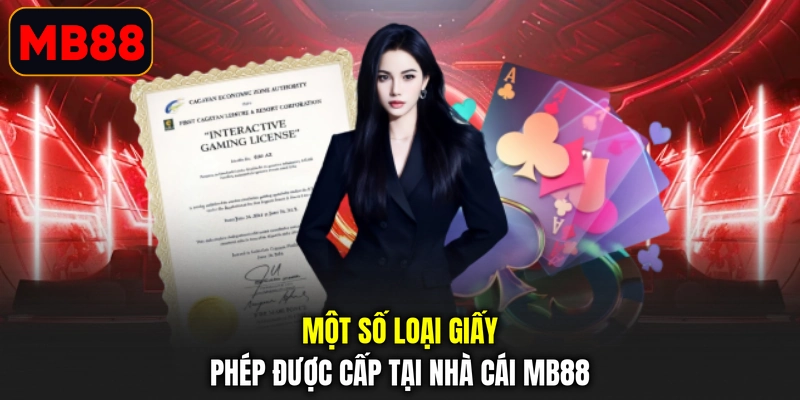 Một số loại giấy phép được cấp tại nhà cái MB88