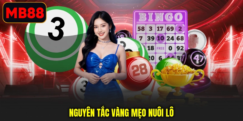 Nguyên tắc vàng mẹo nuôi lô